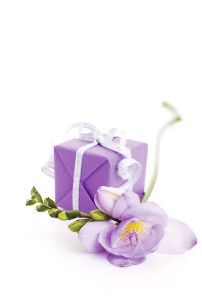 Stock image Gift box