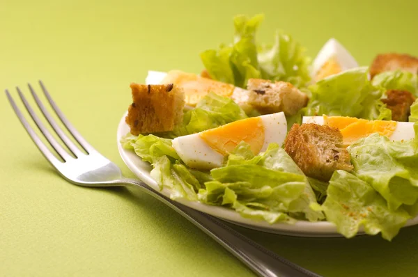 stock image Fresh salad