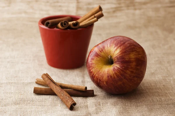 Manzana y canela — Foto de Stock