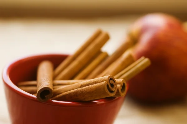 Cinnamon sticks, shallow dof — Stock Photo, Image