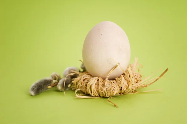 复活节彩蛋 — 图库照片