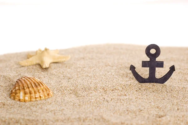 Toylike anchor and seashells — Stock Photo, Image