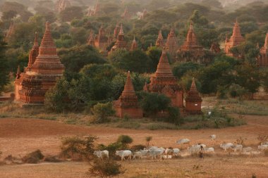 pagodadan, bagan, myanmar