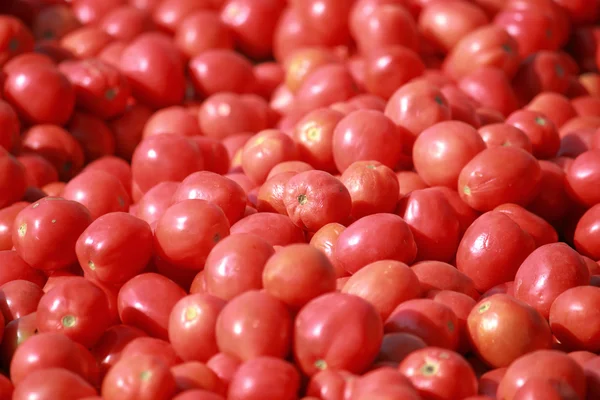 stock image Tomato heap