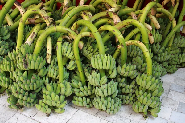 Batata de banana não madura — Fotografia de Stock