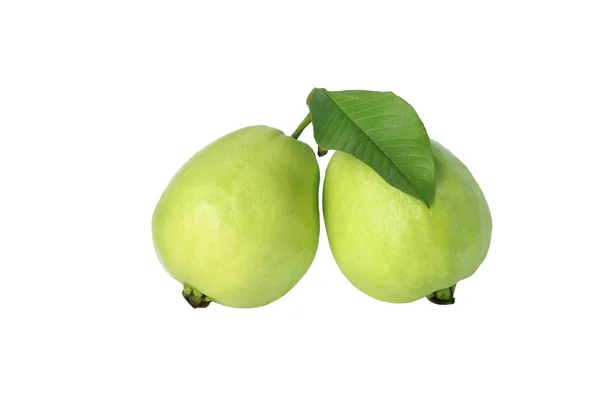 Twee guava — Stockfoto