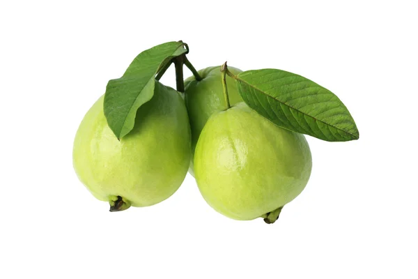 stock image Three guava