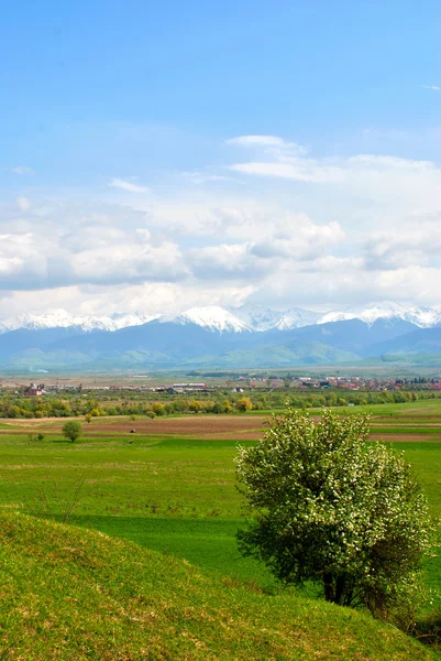 stock image Spring mountain landscape