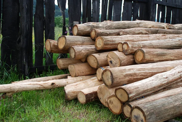 Logs de árvores em bruto — Fotografia de Stock