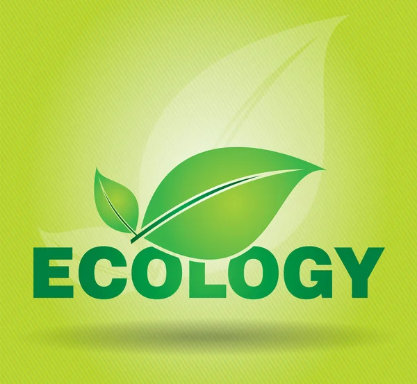 Ökológia — Stock Vector