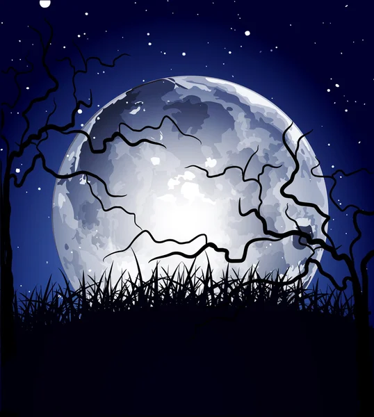 Natt bakgrund med månen och silhuetter av träd — Stock vektor