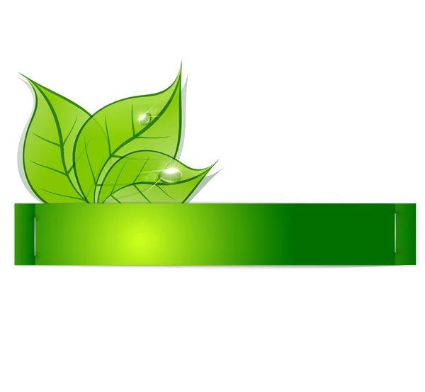 Λωρίδα χαρτί με πράσινα φύλλα και σταγόνες δροσιάς για ένα λευκό backg — Διανυσματικό Αρχείο