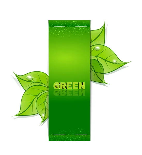 Függőleges papír szalag, zöld levelek és a csepp harmat a a whi — Stock Vector