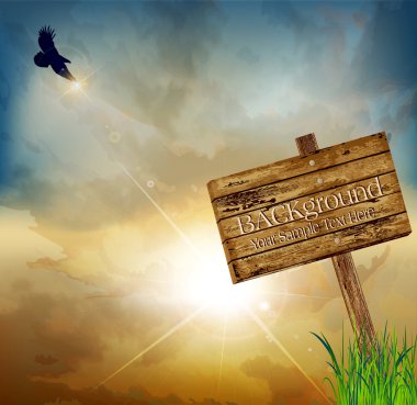 Vector landscape with a flying eagle on a background of the risi clipart