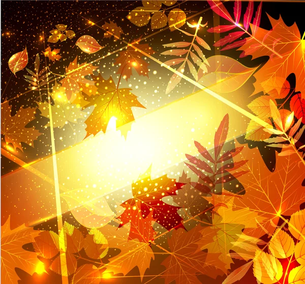 Vector background with autumn leaves — Stock Vector