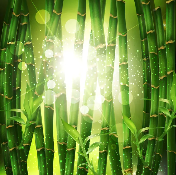Векторный фон с восточной бамбуковой рощей и солнечным светом — стоковый вектор