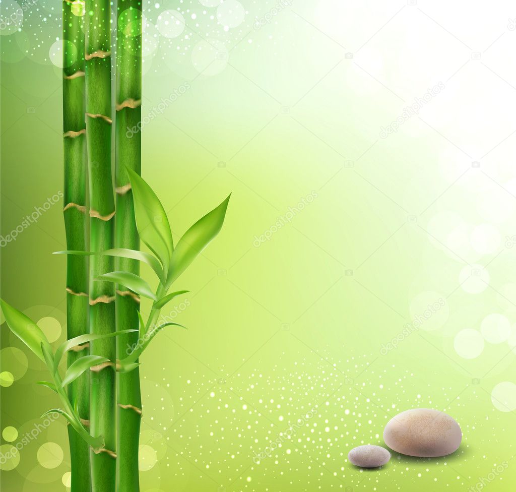 Vector meditative, oriental background with bamboo and stones