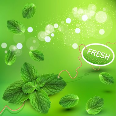 Vector green background with fresh mint leaves clipart