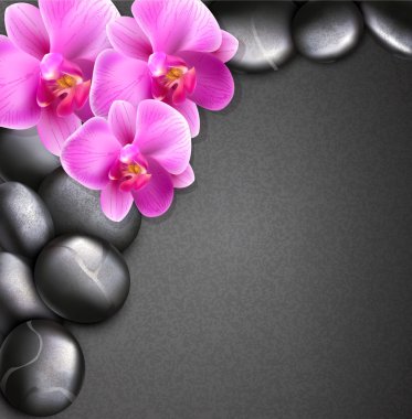 Vector spa background with stones and orchids clipart