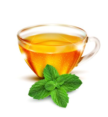 Vector cup of tea with mint leaves on a white background
