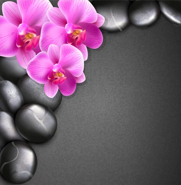 Fond de spa vectoriel avec pierres et orchidées — Image vectorielle