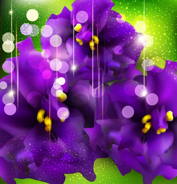 矢量背景与绿色背景上的浪漫紫罗兰 — 图库矢量图片