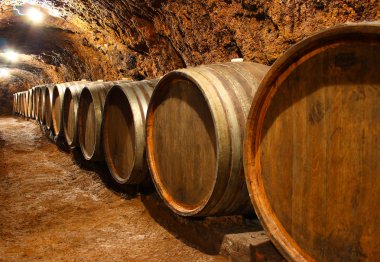 Barrels in a wine cellar clipart