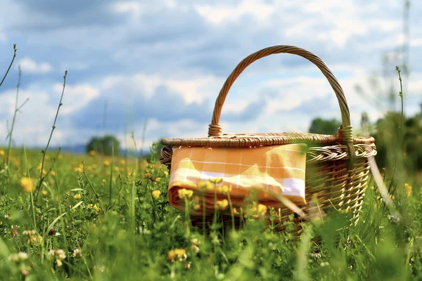 Picnic basket — Stock Photo, Image