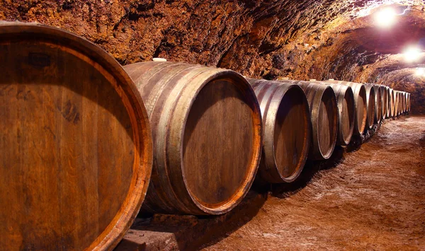 Barrels in a wine cellar — Stock Photo, Image