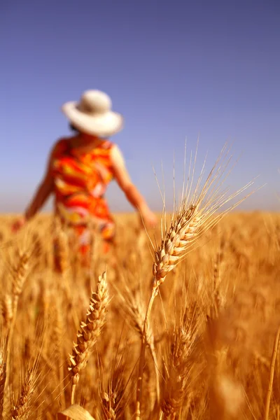 Женщина на зерновом поле — стоковое фото