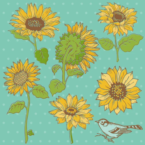 花设置: 详细的手画向日葵在矢量 — 图库矢量图片