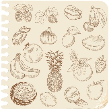 Set of Doodle Fruits - for scrapbook or design - hand drawn clipart