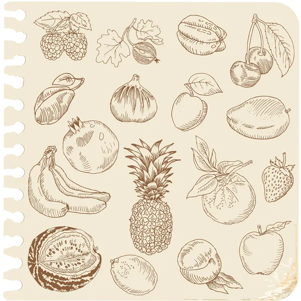 Conjunto de Frutas Doodle - para scrapbook ou design - desenhado à mão —  Vetores de Stock