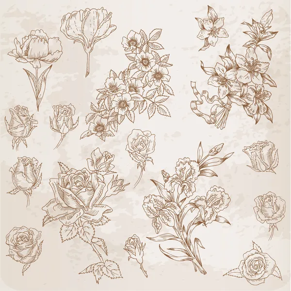 Детальні квіти, намальовані вручну для скрапбука та дизайну у векторі — стоковий вектор