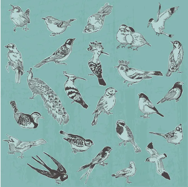 Oiseaux dessinés à la main - pour le design et le scrapbook - en vecteur — Image vectorielle