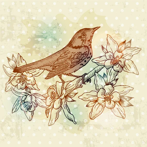 Vintage voorjaar kaart met vogel en bloemen - hand getrokken in vector — Stockvector
