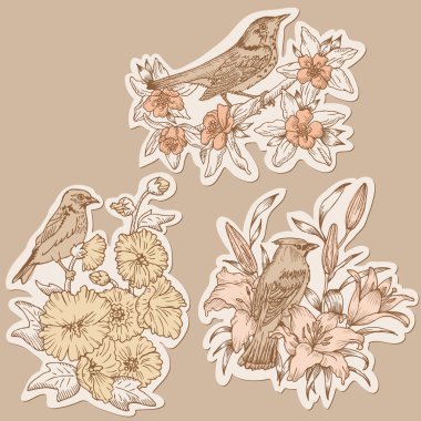 Set of Vintage Birds and Flowers on tags - hand drawn in vector clipart