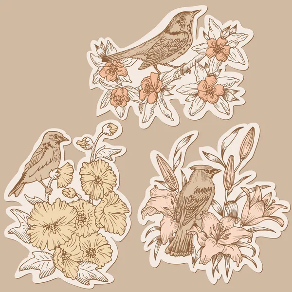 Set de Pájaros y Flores Vintage en etiquetas - dibujado a mano en vector — Vector de stock