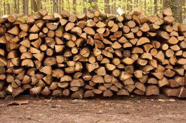 Pile of Wood - 4 clipart