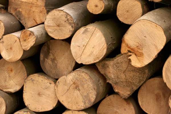Pile di legno - 3 — Foto Stock