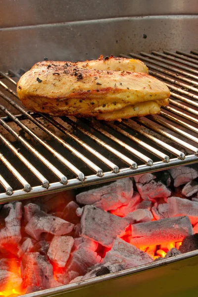 Chicken on the barbecue with coils — Stock Photo, Image