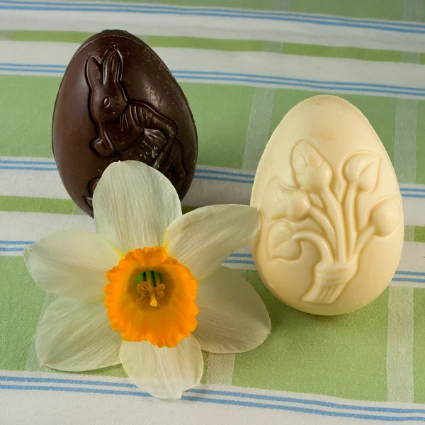 Wielkanocnego jajka i Narcyz — Zdjęcie stockowe