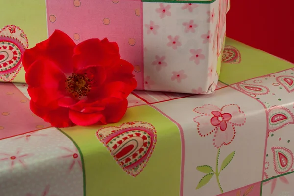 Regali avvolti in carta regalo rosa - 9 — Foto Stock