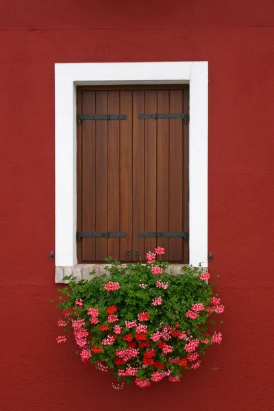 stock image Burano - Venice - 1