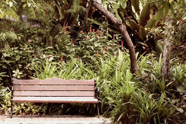 Bench in park. — Stock Photo, Image