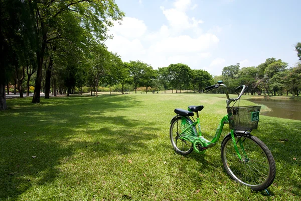 Rower w parku. — Zdjęcie stockowe