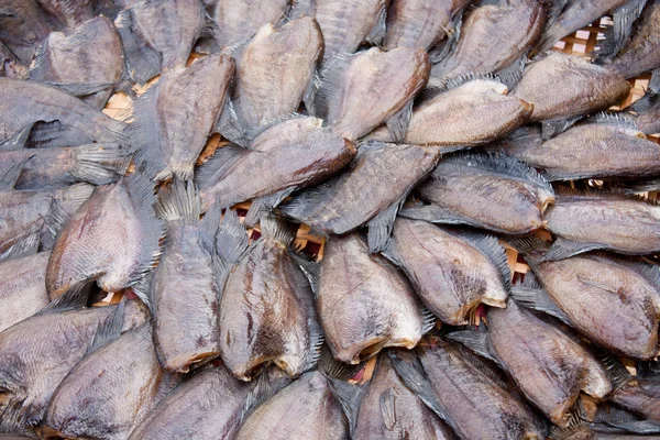 stock image Dried fish.