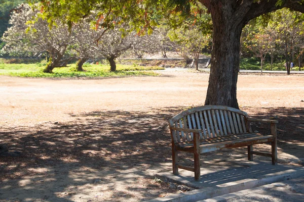 Bench under a tree. — Stock Photo, Image