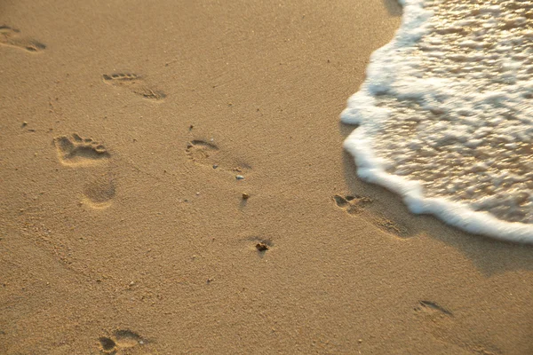 Следы на песке. — стоковое фото