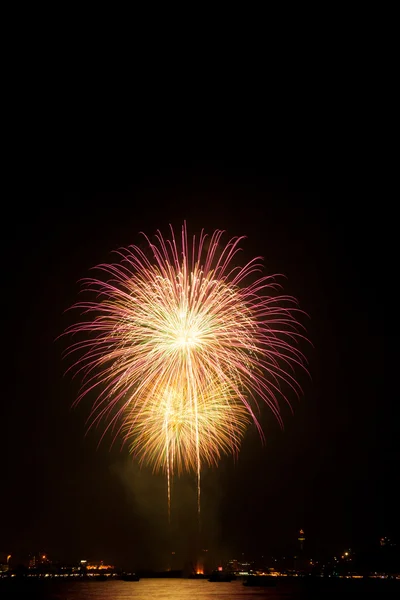 Feuerwerk. — Stockfoto